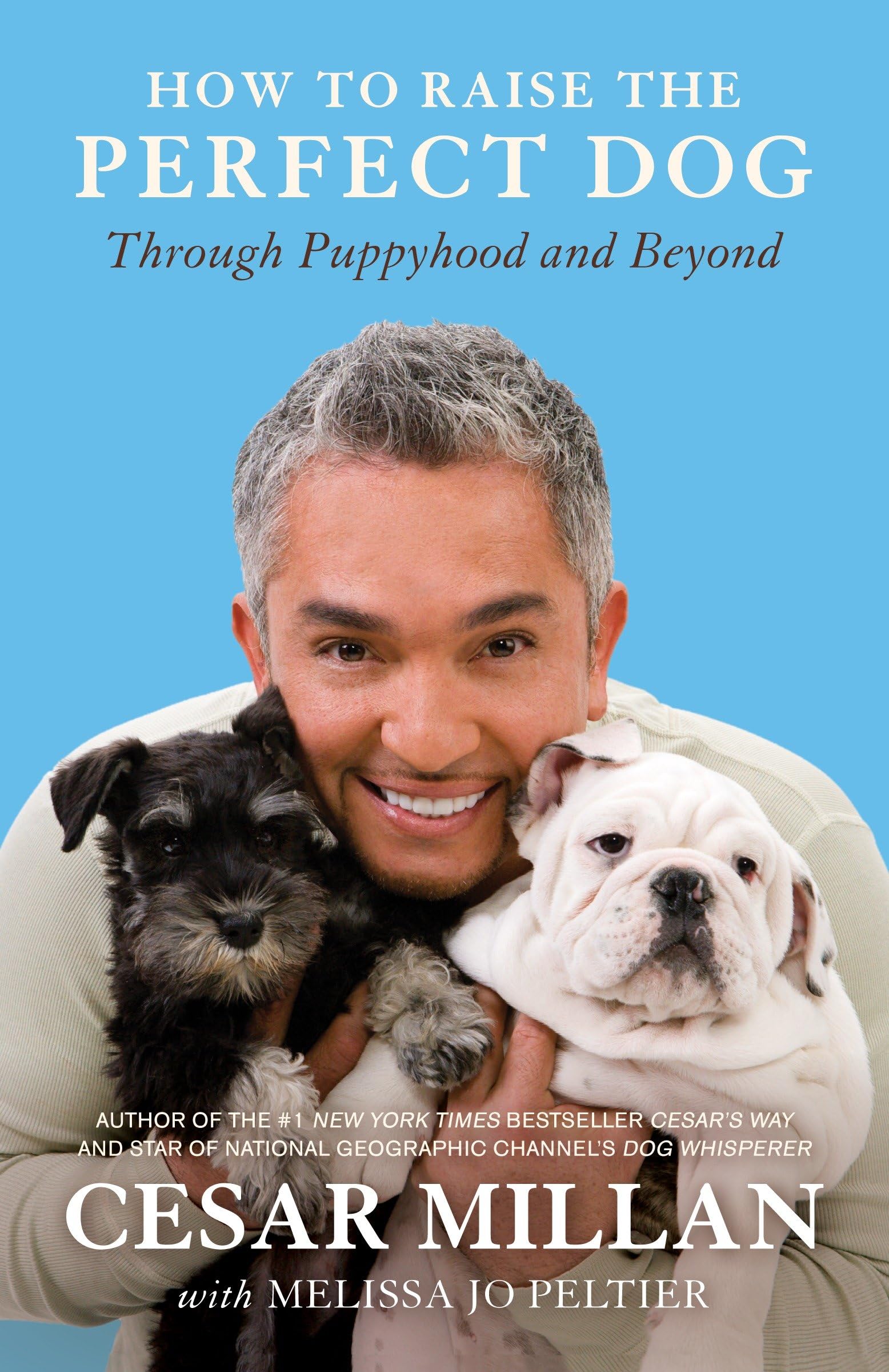 How to Raise the Perfect Dog: Through Puppyhood and Beyond: Millan